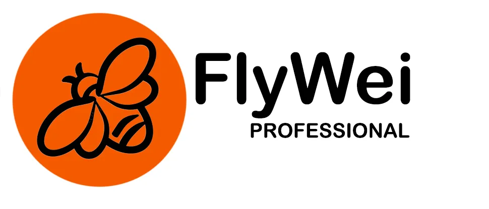 FlyWei PROFESSIONAL LTD logo